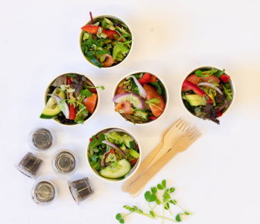 Raw energy garden salad, mixed leaves, cucumber, tomato, capsicum, onion, house made vinaigrette – Bowl