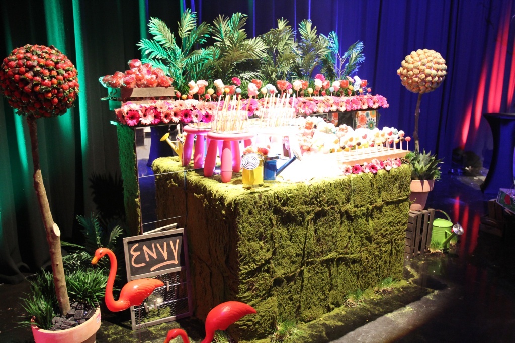 Envy Party Decoration