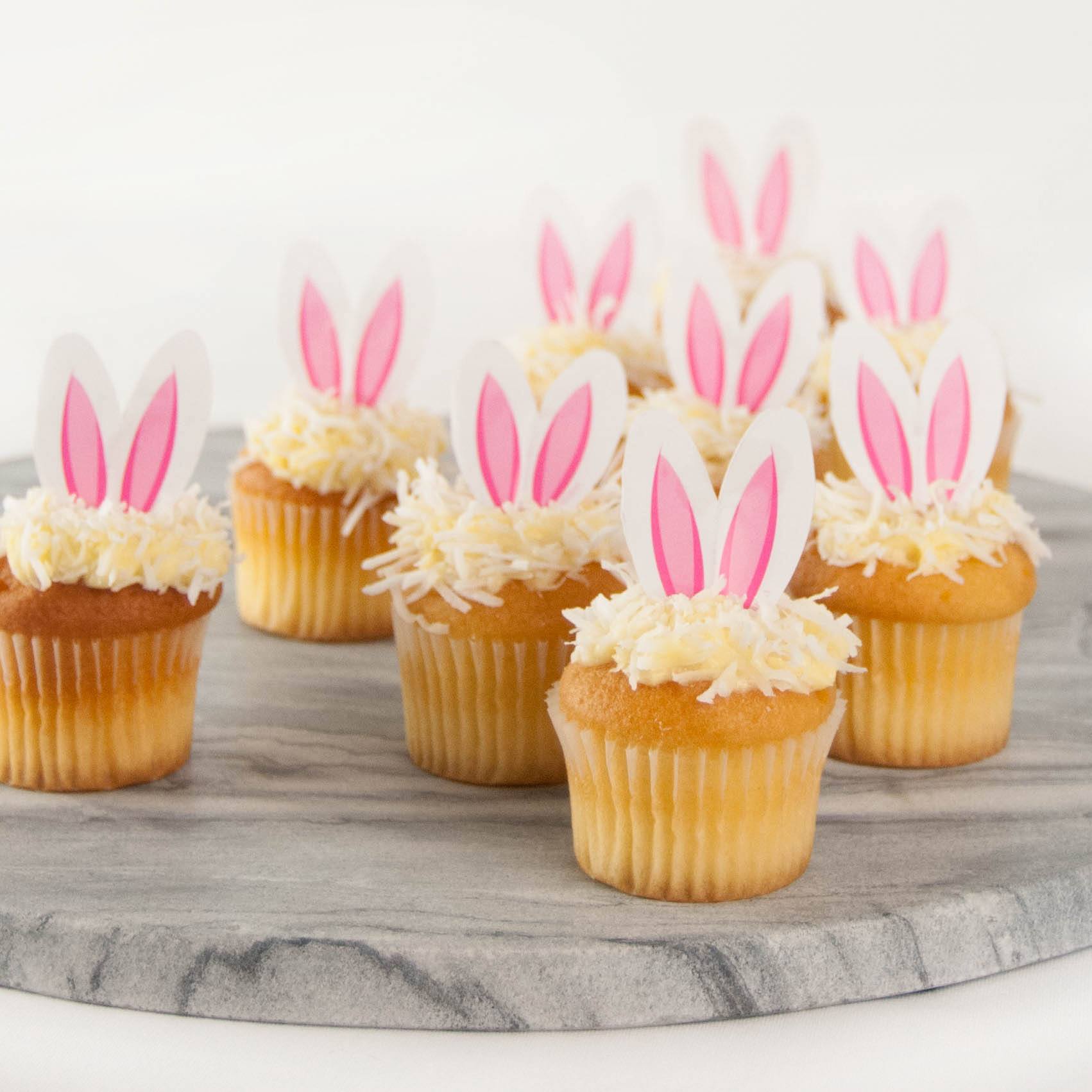 Cup Cakes sq Chocolate & vanilla cotton tail cupcakes