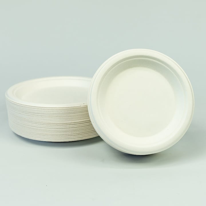 Disposable plate