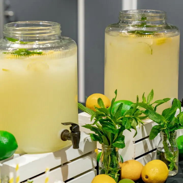 Homemade Lemonade Stand