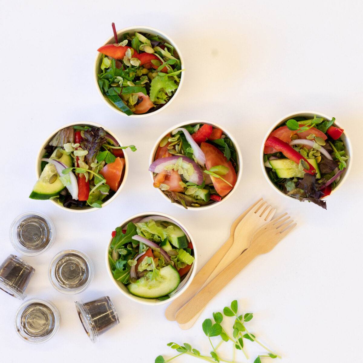 Raw energy garden salad, mixed leaves, cucumber, tomato, capsicum