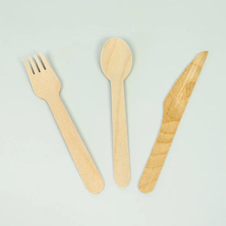 Disposable knife