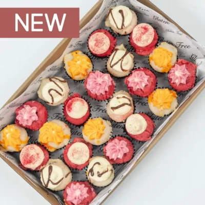 Mini vegan & gluten free cupcakes