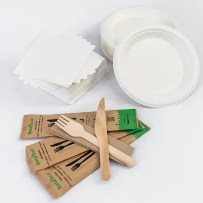 Disposable Plates + Cutlery / Napkin Pack