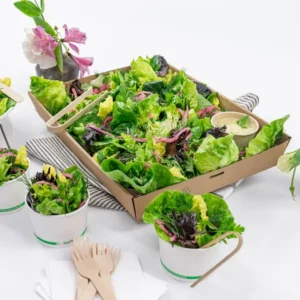 Best Salad Catering Sydney