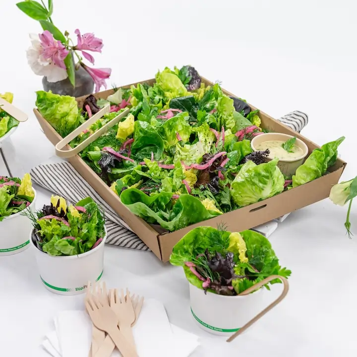 Seasonal leafy greens & herb salad